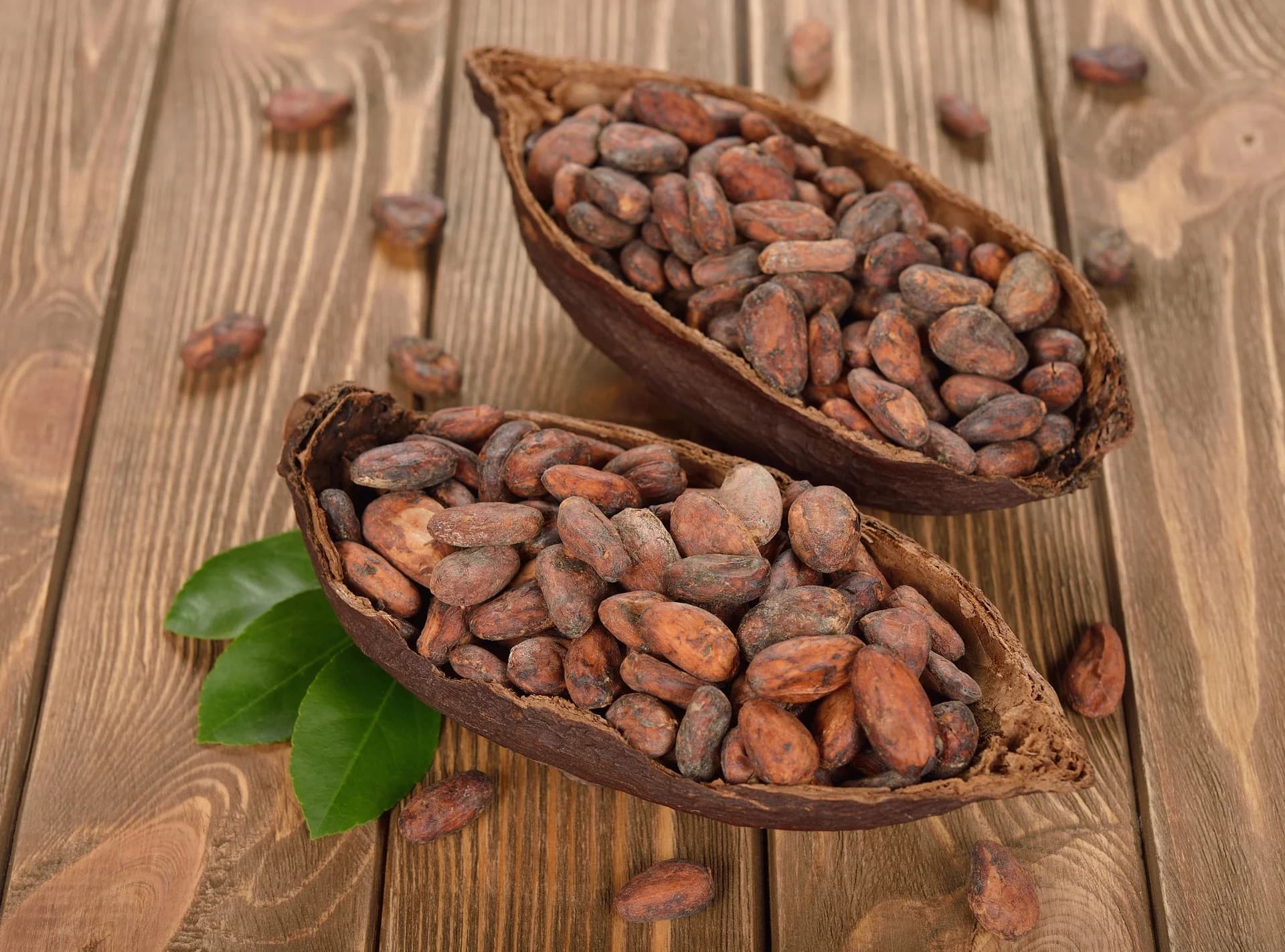 Cocoa Beans